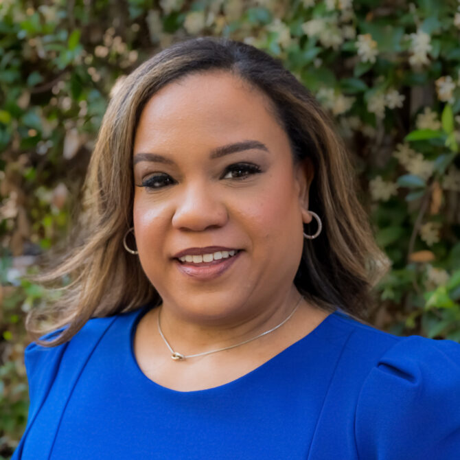 Planning and Development Council Director